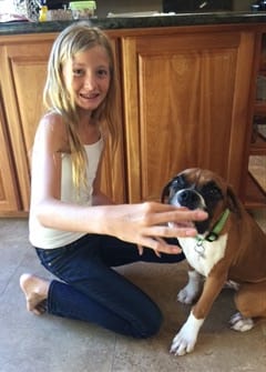boxer-puppy-eating-treats